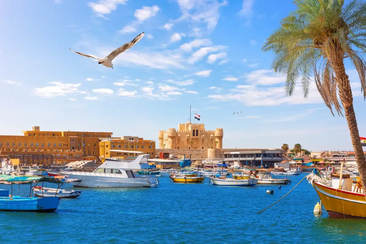 Tourism in Alexandria all-inclusive