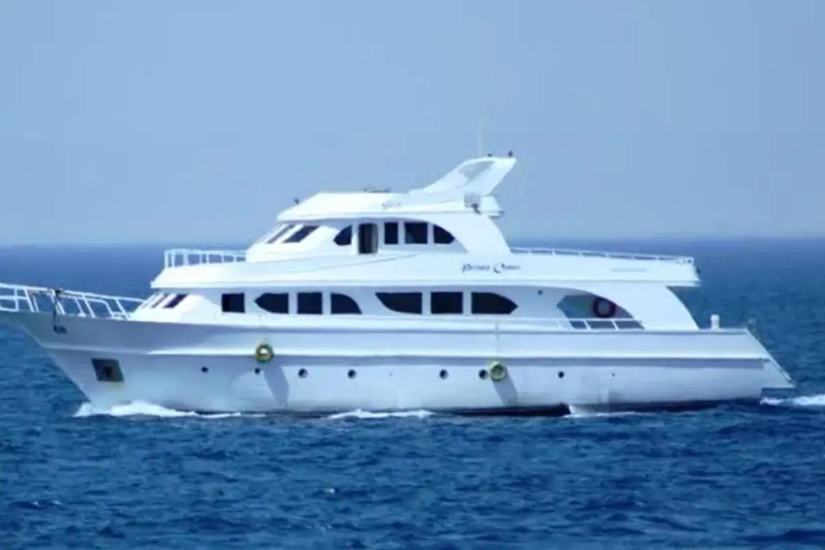 Hurghada Tours 